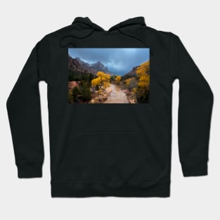 Zion National Park Hoodie